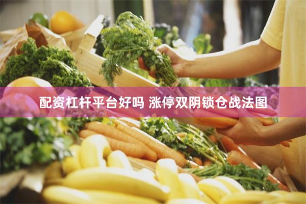 配资杠杆平台好吗 涨停双阴锁仓战法图