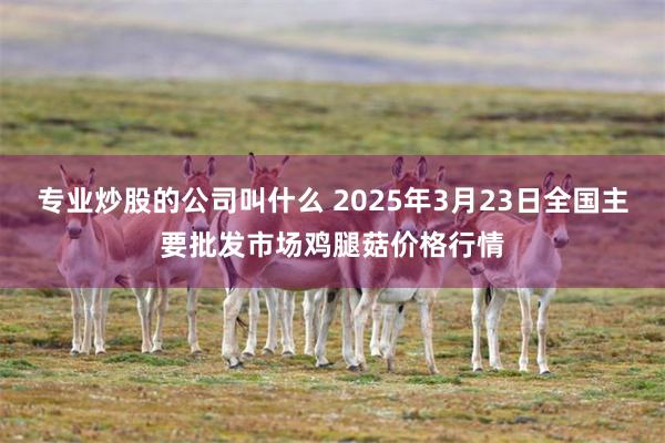 专业炒股的公司叫什么 2025年3月23日全国主要批发市场鸡腿菇价格行情
