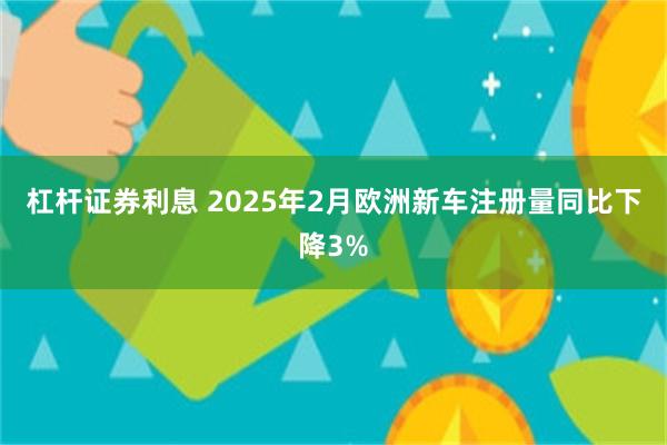 杠杆证券利息 2025年2月欧洲新车注册量同比下降3%