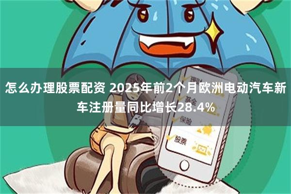 怎么办理股票配资 2025年前2个月欧洲电动汽车新车注册量同比增长28.4%