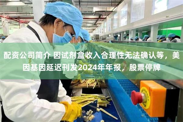 配资公司简介 因试剂盒收入合理性无法确认等，美因基因延迟刊发2024年年报，股票停牌