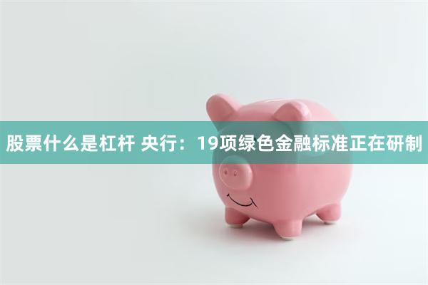 股票什么是杠杆 央行：19项绿色金融标准正在研制