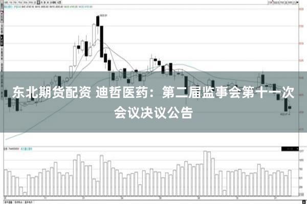 东北期货配资 迪哲医药：第二届监事会第十一次会议决议公告