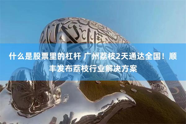 什么是股票里的杠杆 广州荔枝2天通达全国！顺丰发布荔枝行业解决方案