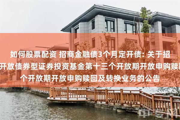 如何股票配资 招商金融债3个月定开债: 关于招商金融债3个月定期开放债券型证券投资基金第十三个开放期开放申购赎回及转换业务的公告