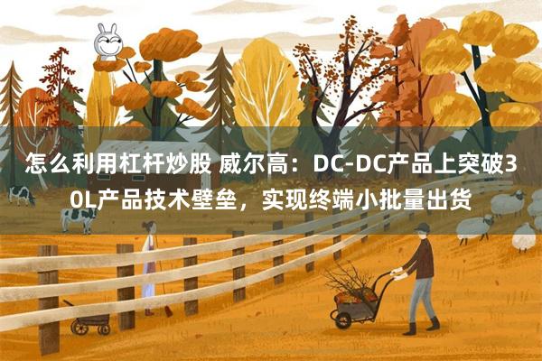 怎么利用杠杆炒股 威尔高：DC-DC产品上突破30L产品技术壁垒，实现终端小批量出货