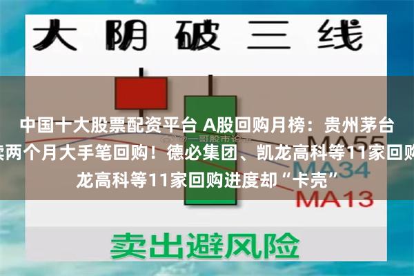 中国十大股票配资平台 A股回购月榜：贵州茅台等行业龙头连续两个月大手笔回购！德必集团、凯龙高科等11家回购进度却“卡壳”