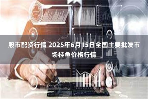 股市配资行情 2025年6月15日全国主要批发市场桂鱼价格行情