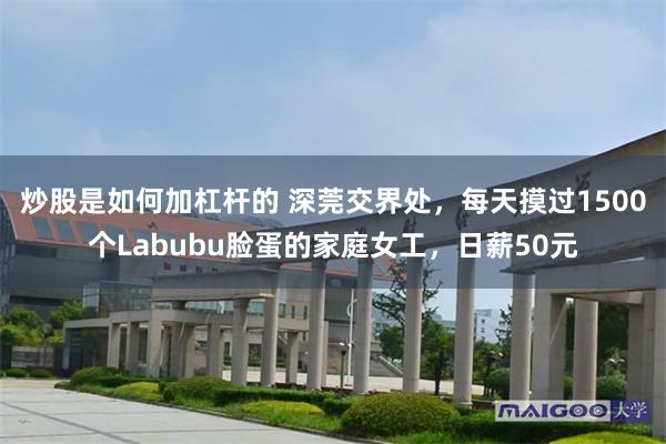 炒股是如何加杠杆的 深莞交界处，每天摸过1500个Labubu脸蛋的家庭女工，日薪50元