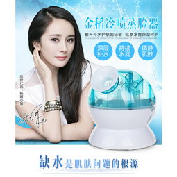 金稻蒸臉器KD-23316 秋冬護(hù)膚的冷熱雙效神器